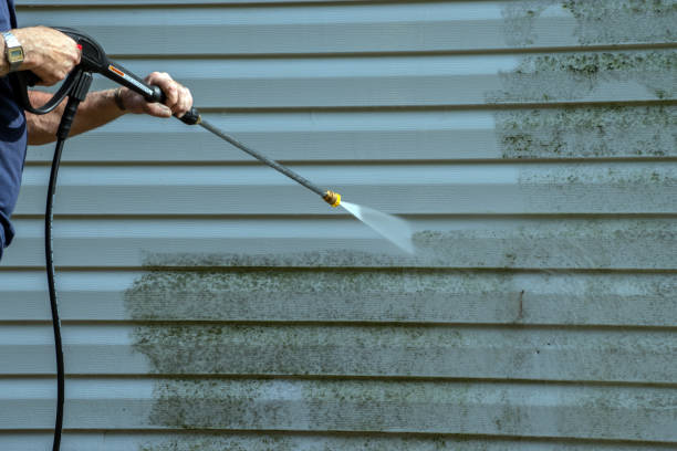 Best Exterior Home Cleaning  in Mount Jackson, VA