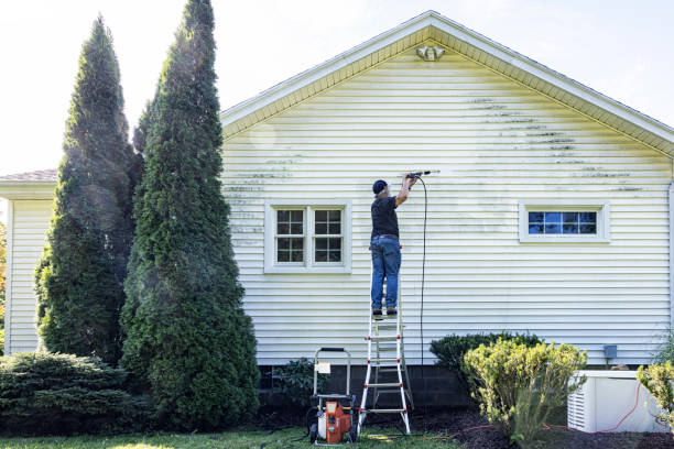 Best Fence Pressure Washing  in Mount Jackson, VA