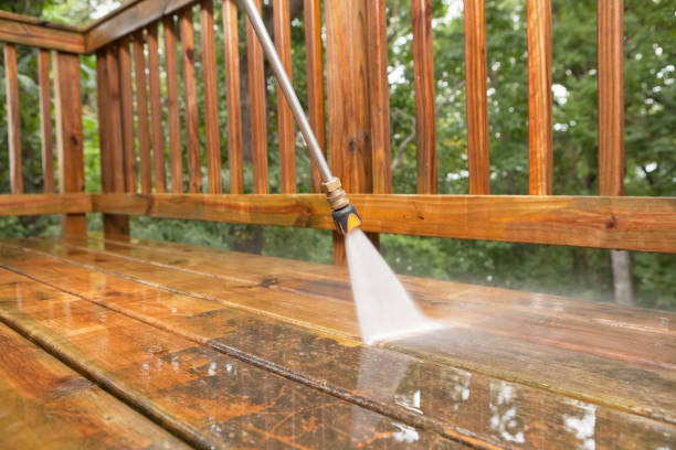 Best Sidewalk Pressure Washing  in Mount Jackson, VA